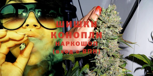ГАЛЛЮЦИНОГЕННЫЕ ГРИБЫ Остров