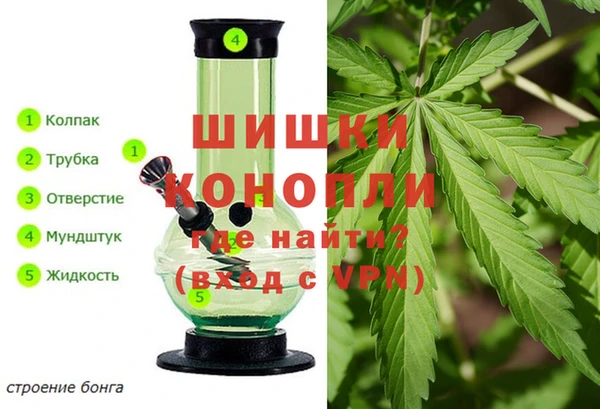 спайс Осинники