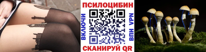 Псилоцибиновые грибы ЛСД  Торопец 